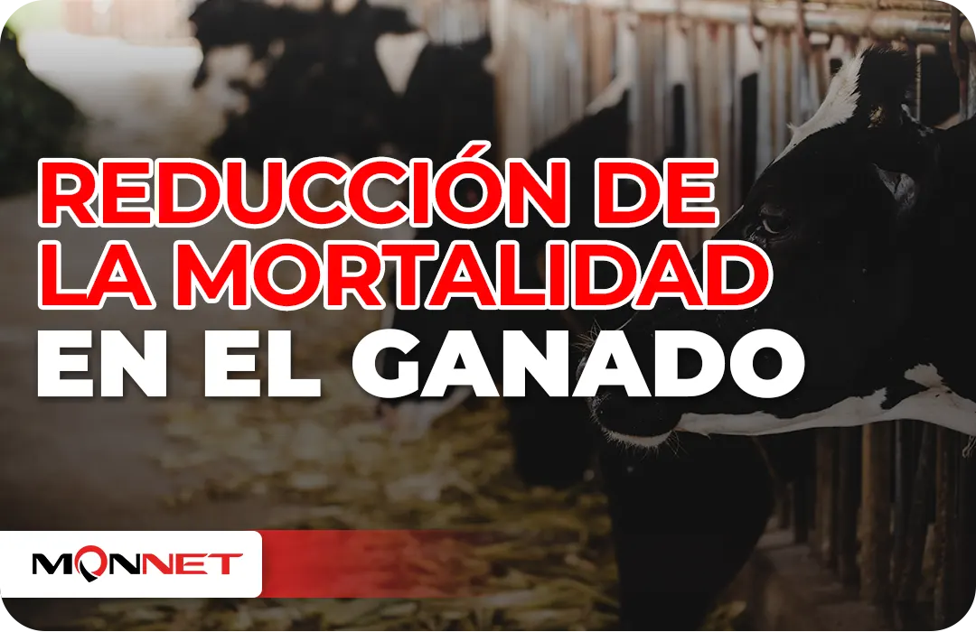 Reducción de la mortandad en el ganado