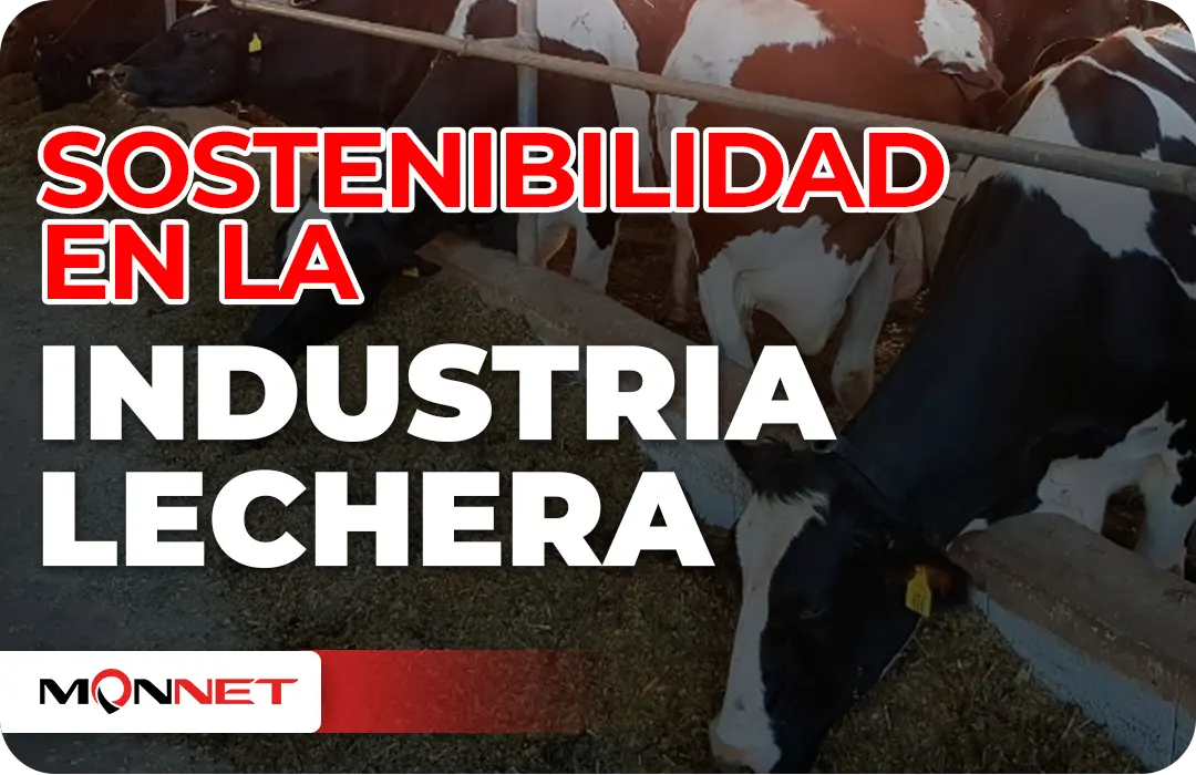 Sostenibilidad en la industria lechera